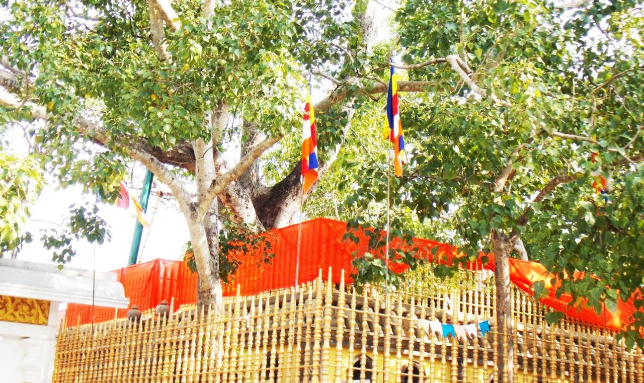 Kubura Resort Anuradhapura Kültér fotó