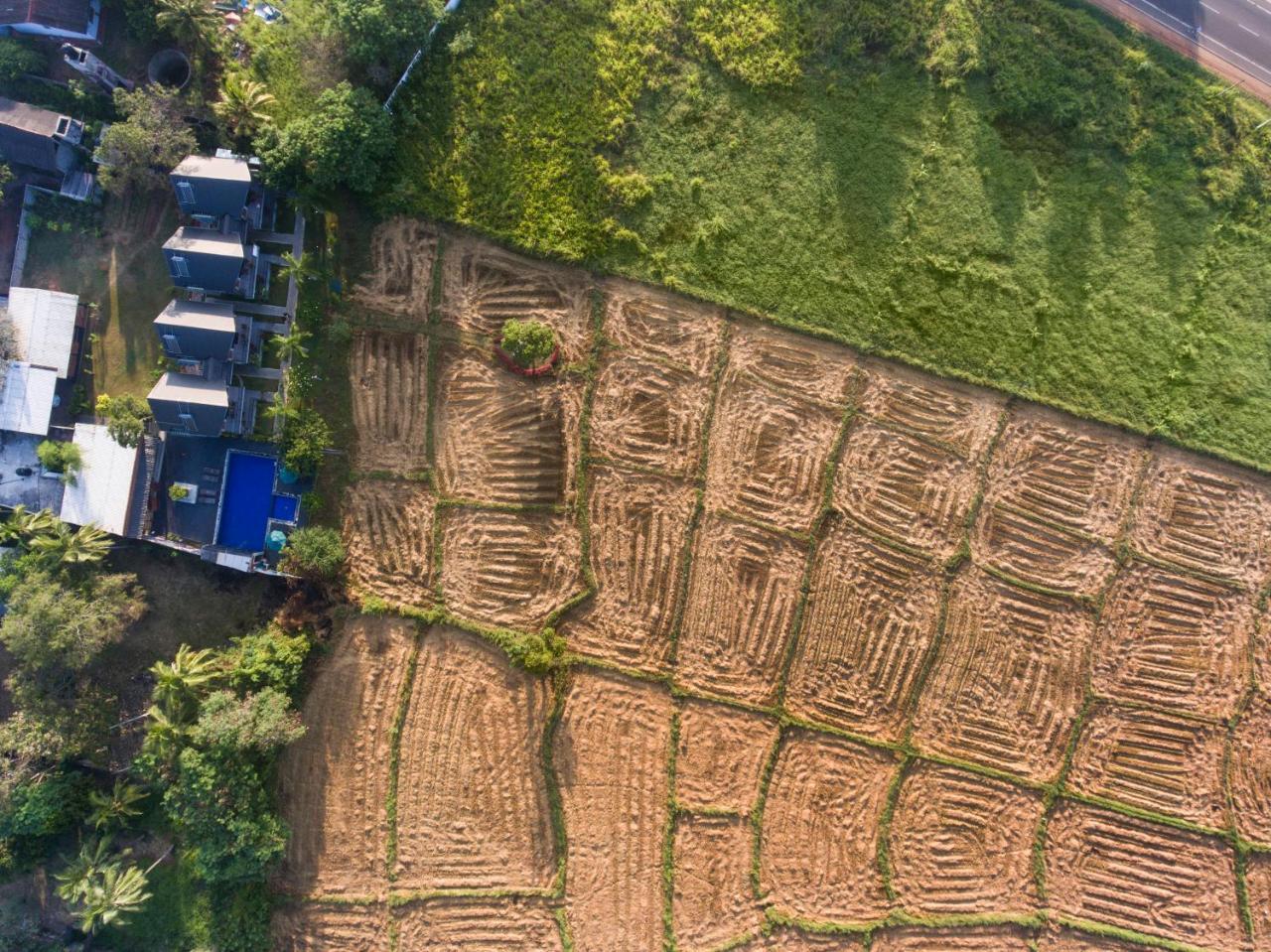 Kubura Resort Anuradhapura Kültér fotó